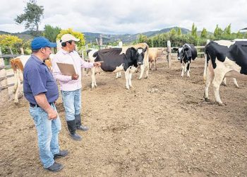 Tarım sayımı için ilk adım atıldı